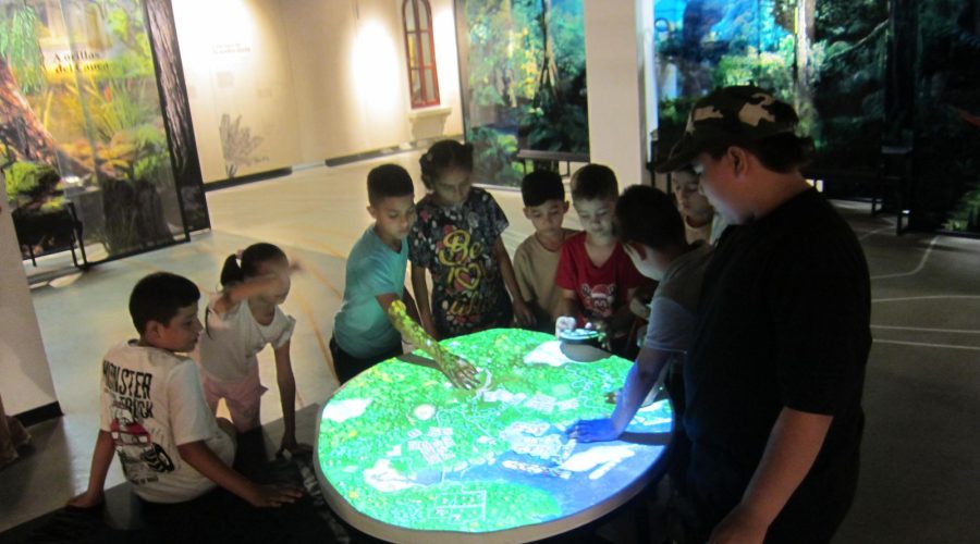 Besuch im Naturkundemuseum: Lernen und Entdecken in der Ferienfreizeit